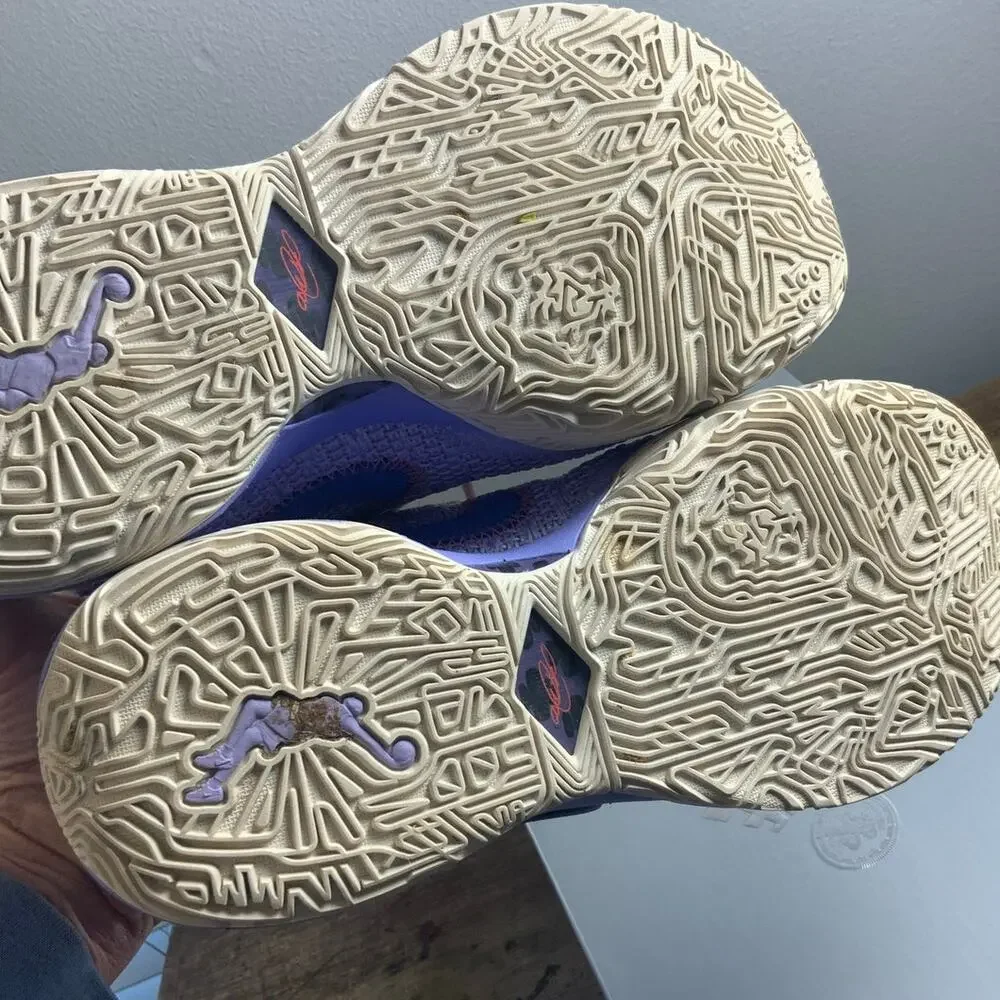 Nike Lebron XX Violet Frost/Metallic Gold Shoes size 5